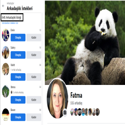 +100 Arkadaşlı Bayan Facebook hesapları ( Çerezler ile birlikte teslim ) Kategorisi